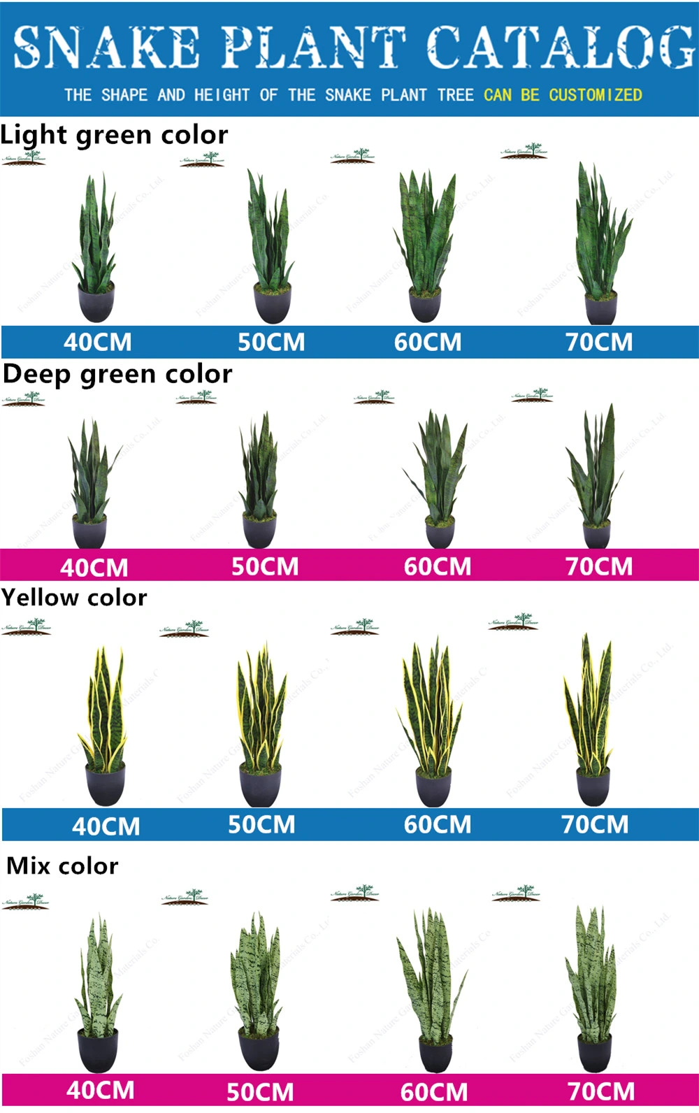 All Types of Sansevieria Plants Agave Prices High Quality Artificial Bonsai