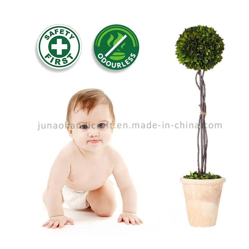 100% Natural Preserved Boxwood Topiary Mini Bonsai Combo of Modern and Antique Evergreen