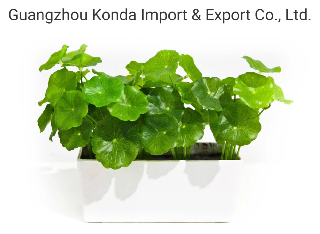 Wholesale Small Plants High Quality Artificial Mini Plant Bonsai for Decoration