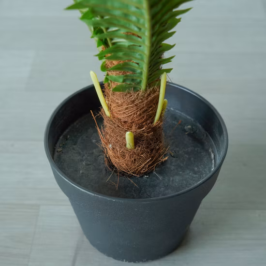 Fabrikgefertigter 60 cm hoher, künstlicher Mini-Bonsaibaum aus persischem Gras für die Inneneinrichtung