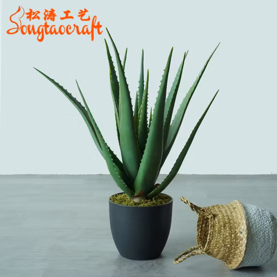 Kleine dekorative Topf-Sukkulenten-Bonsai-Baum-künstliche Aloe-Vera-Pflanzen für zu Hause