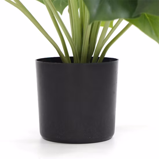 Sunwing Cheap Greenery, Höhe 47 cm, Schildkrötenblatt, künstliche kleine Topfpflanze, Bonsai zur Dekoration