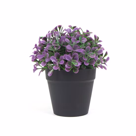 Hochsimulierte, umweltfreundliche PE-Kunstpflanze im Topf, 18 cm, Mini-Bonsai für die Dekoration im Büro, Zuhause, Café