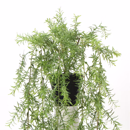 Neue Produkte, maßgeschneiderte kreative künstliche Topfpflanzen zum Aufhängen für das Haus